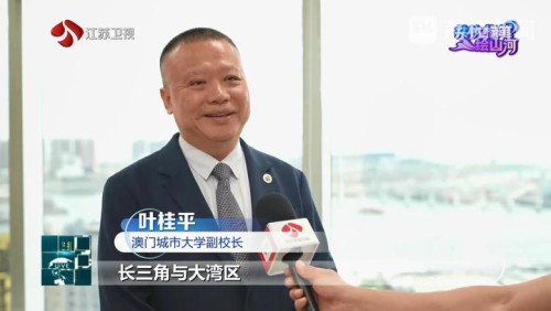 葉桂平主任就長三角遇上大灣區接受江蘇衛視荔枝新聞採訪