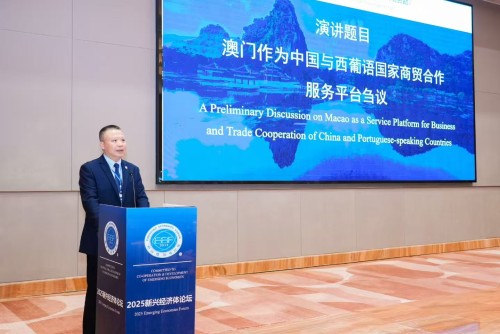 葉桂平主任受邀參加2025新興經濟體智庫圓桌會議